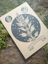 Load image into Gallery viewer, Illustrated herb cards