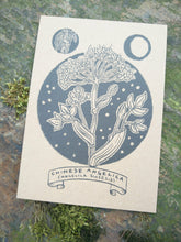 Load image into Gallery viewer, Illustrated herb cards
