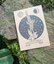 Load image into Gallery viewer, Illustrated herb cards