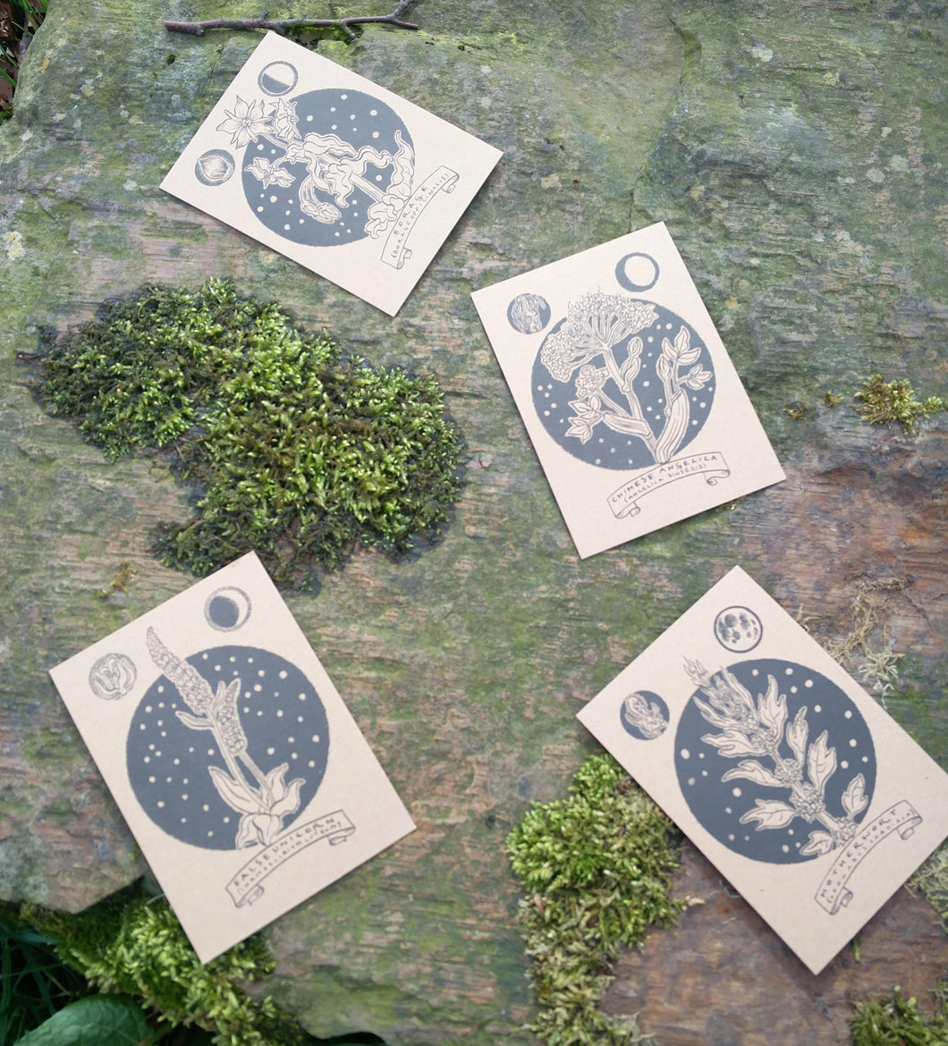 Illustrated herb cards